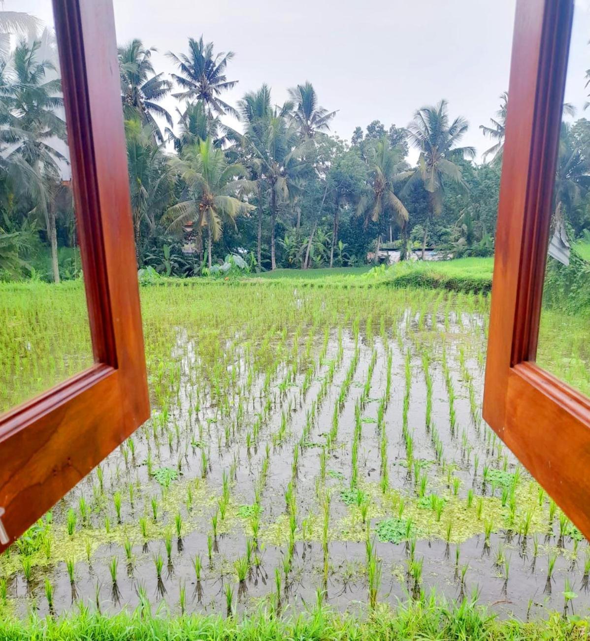 As I Am Ubud Retreat الغرفة الصورة