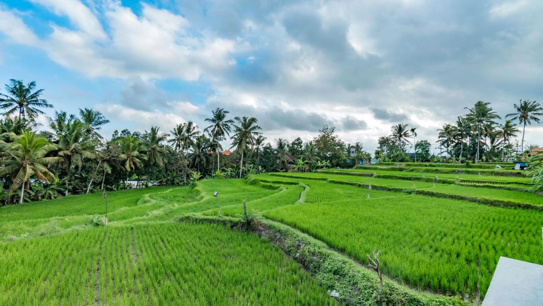 As I Am Ubud Retreat المظهر الخارجي الصورة