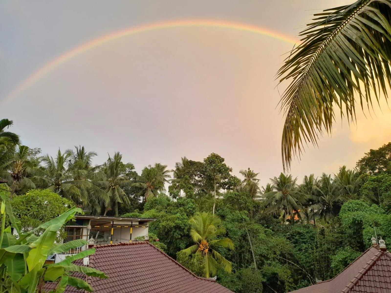 As I Am Ubud Retreat المظهر الخارجي الصورة