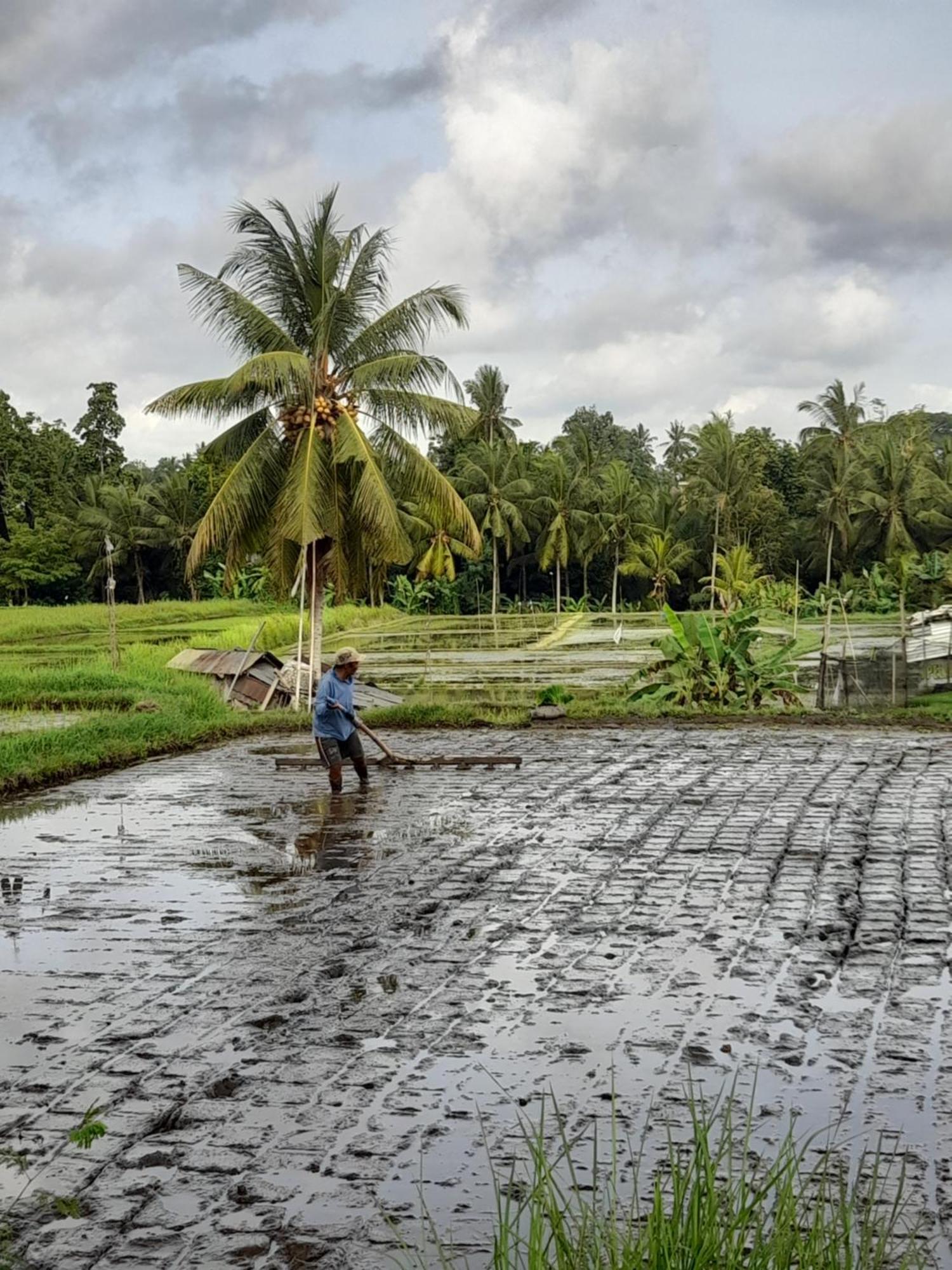 As I Am Ubud Retreat المظهر الخارجي الصورة
